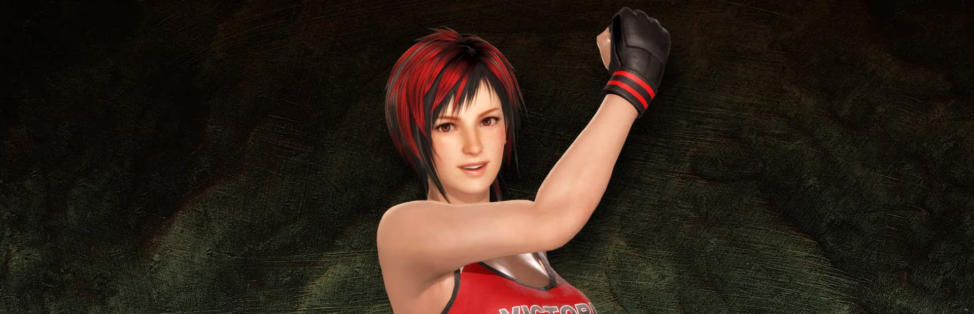 Dead or Alive 6 - SteamGridDB