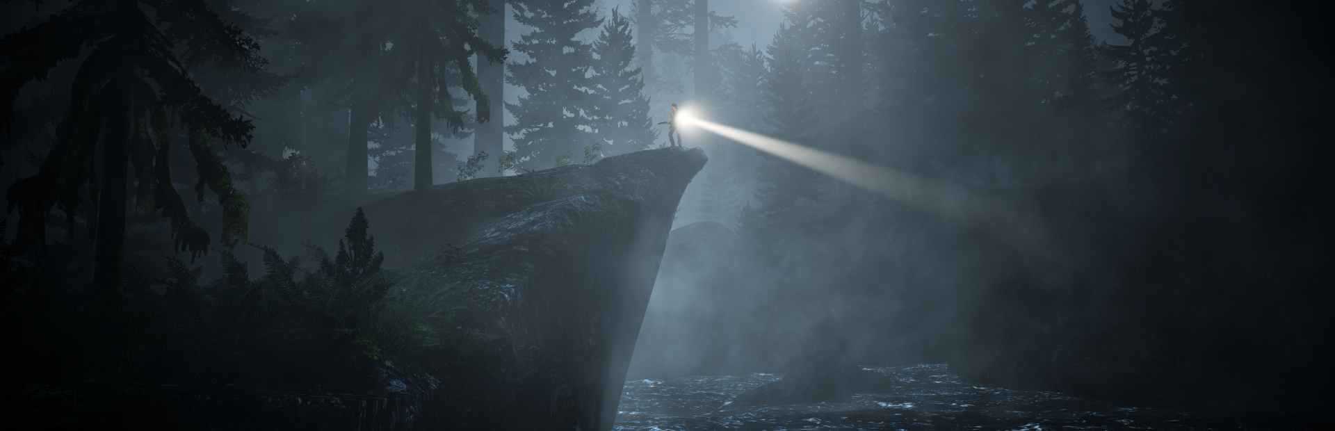 Alan Wake 2 - SteamGridDB