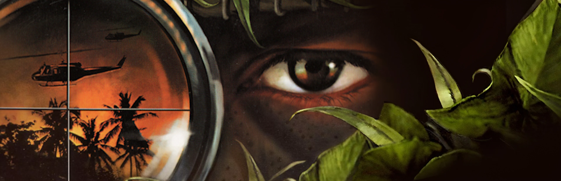 Line of Sight: Vietnam cover