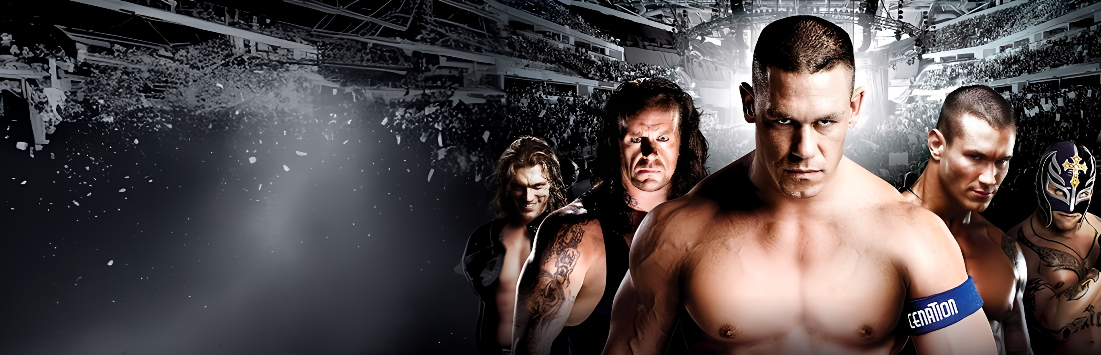 WWE SmackDown! vs. Raw 2010 game banner