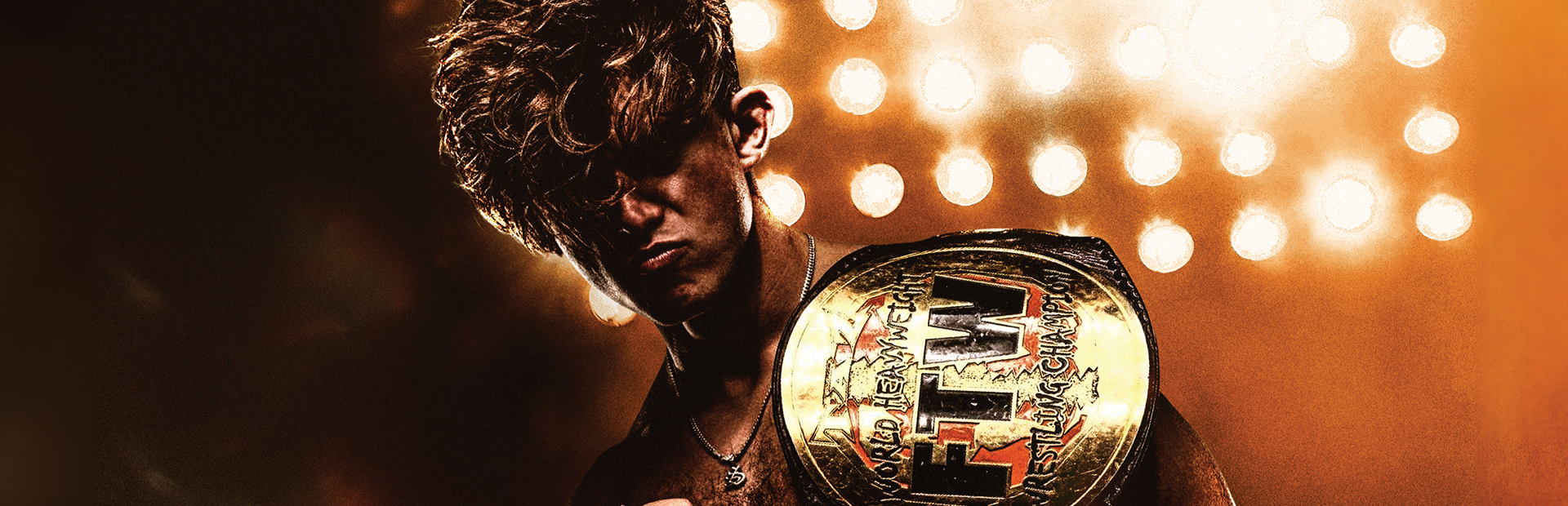 AEW Fight Forever cover