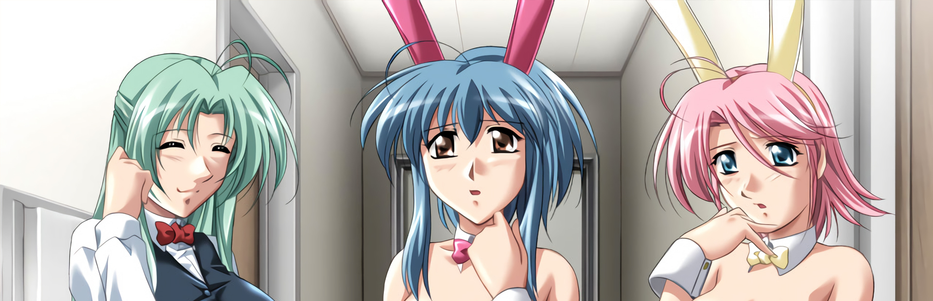 Do You Like Horny Bunnies? – Complete Collection - SteamGridDB