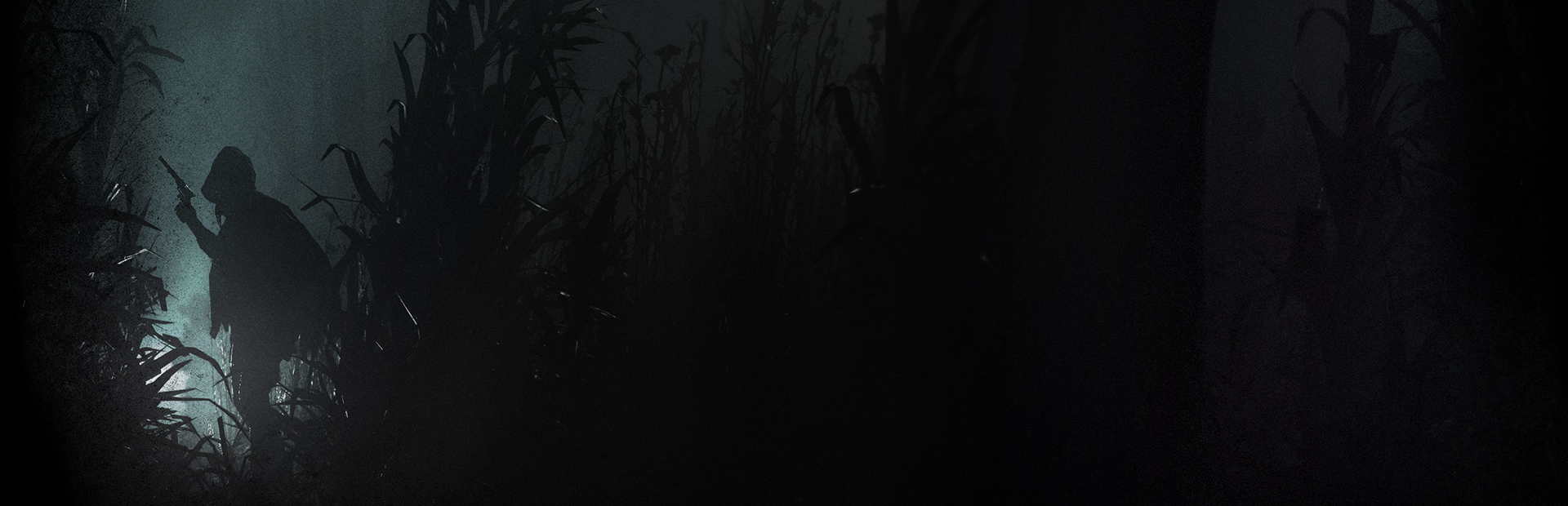 Hunt: Showdown cover