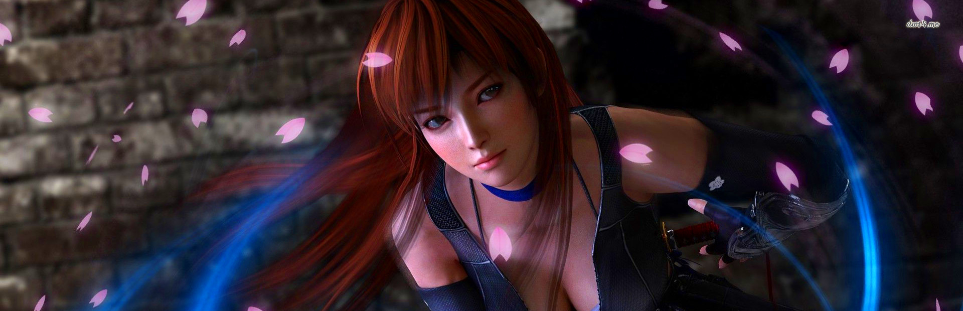 Dead or Alive 5 Last Round cover