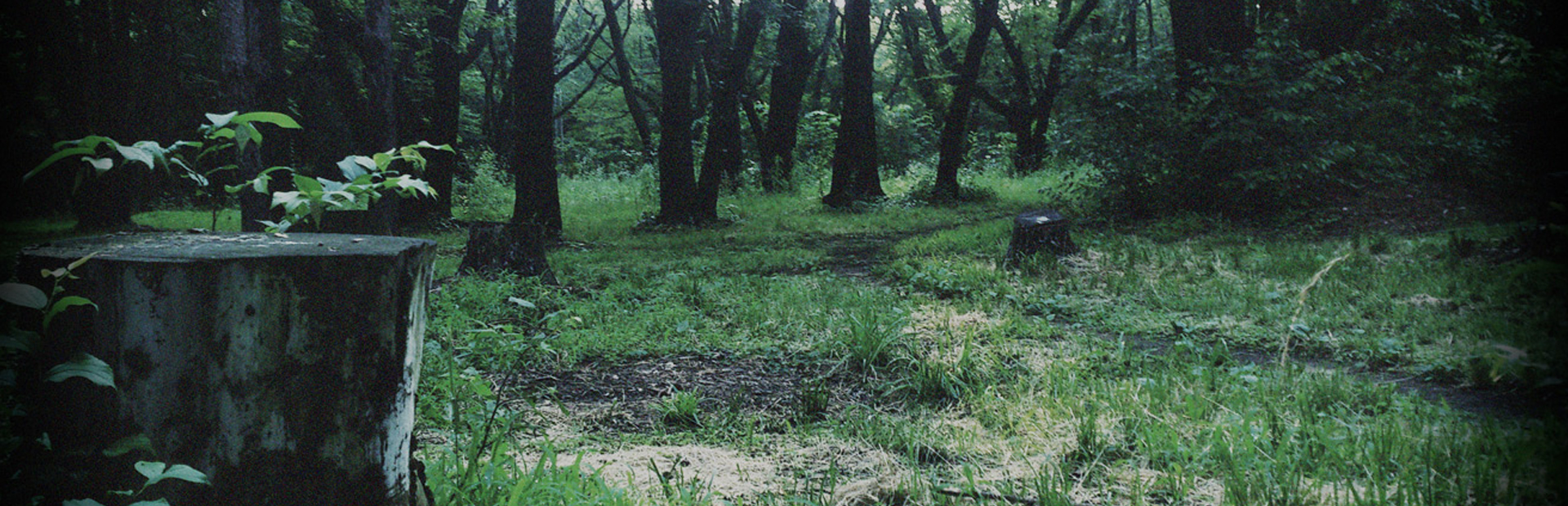 P.T. (Playable Teaser) - PS4