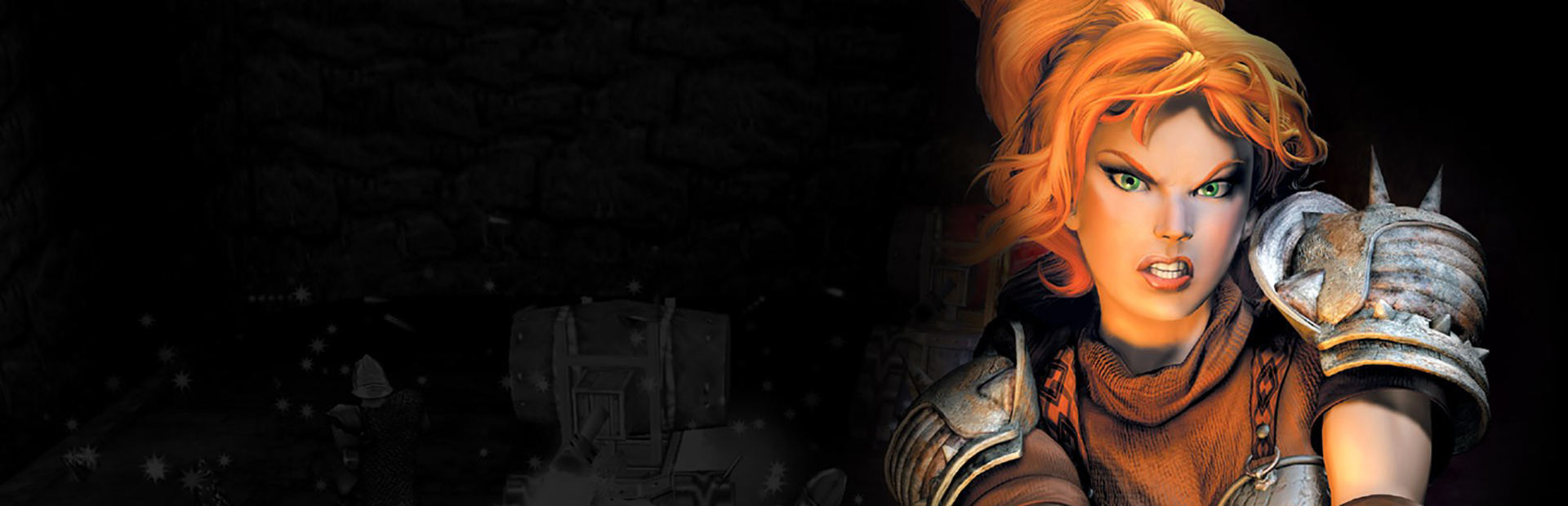 Dungeon Siege - SteamGridDB