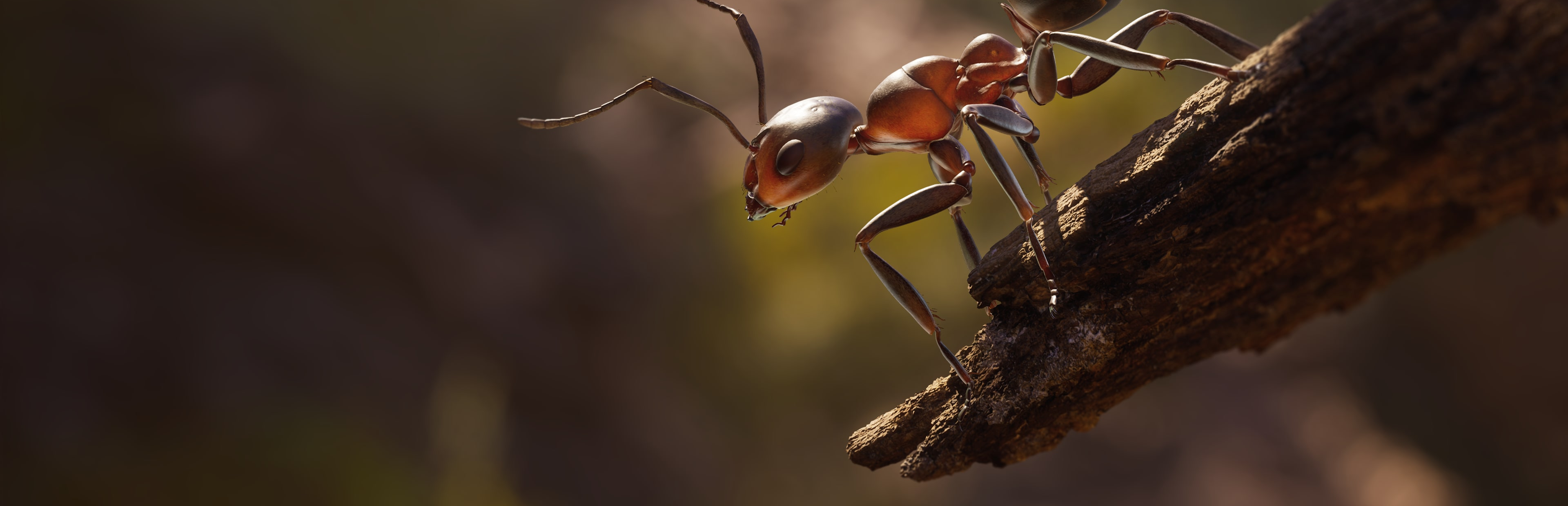 Empire of the Ants cover