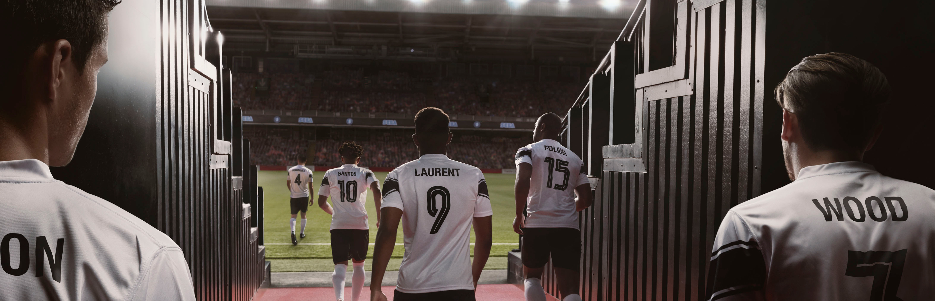 Football Manager 2019 cover