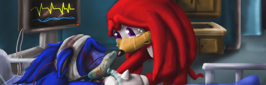 The Murder of Sonic the Hedgehog (2023)