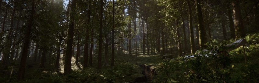 Is Sons Of The Forest Split Screen? - N4G