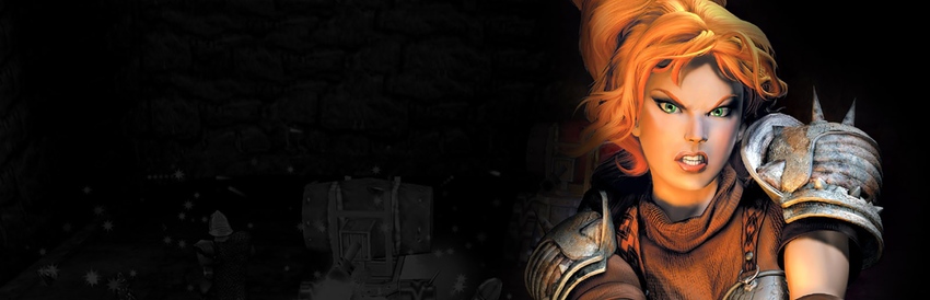 Dungeon Siege - SteamGridDB
