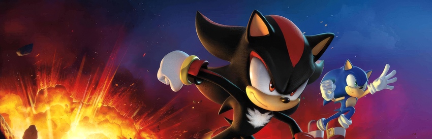 Hero for Sonic X Shadow Generations by BrochachoTheBro - SteamGridDB