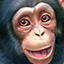 Zoo Tycoon: Ultimate Animal Collection icon