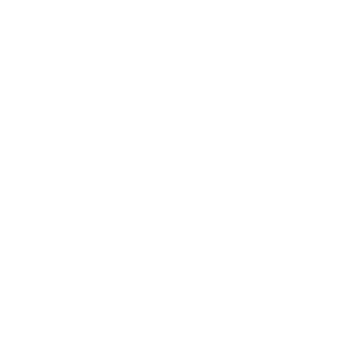 FlatOut 4: Total Insanity icon