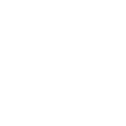 Street Fighter 6 icon