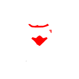 The Incredible Adventures of Van Helsing icon