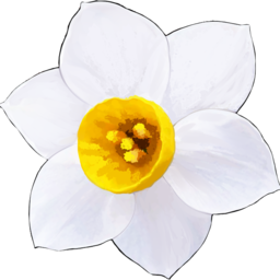 Narcissu 10th Anniversary Anthology Project