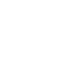 Blackwake icon