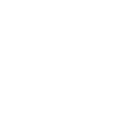 Crusader Kings icon