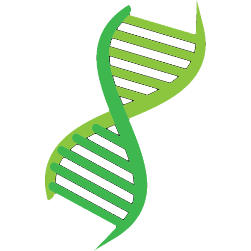 Intelligent Design: An Evolutionary Sandbox