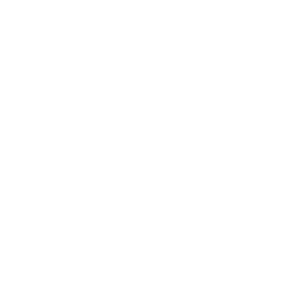 Microsoft Flight Simulator Version 4.0 icon