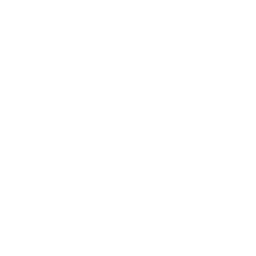 World War II: Panzer Claws icon