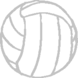 Retired Men's Nude Beach Volleyball League