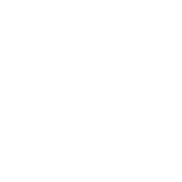 Plunder Panic icon