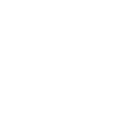 Minion Masters icon
