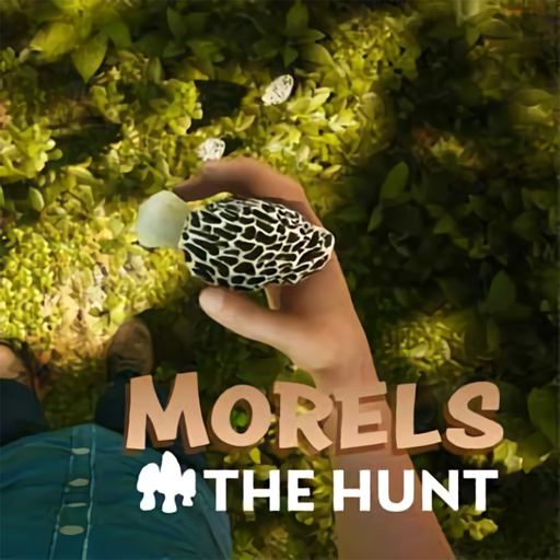 Morels: The Hunt