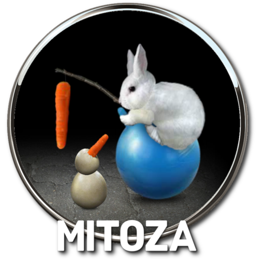 Mitoza