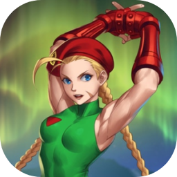 Super Street Fighter II icon