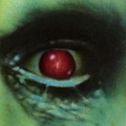 No More Room in Hell icon