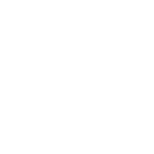 The Inquisitor