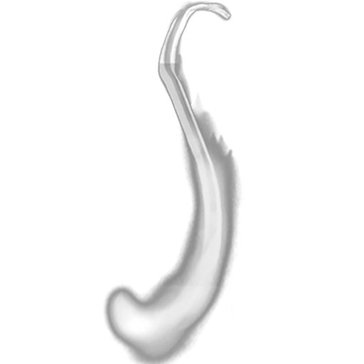 Slender: The Arrival