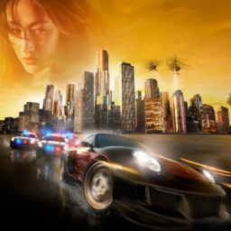 Need for Speed Undercover