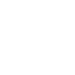 KnightShift icon