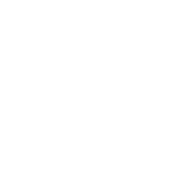 Ricochet icon