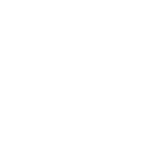 Homefront: The Revolution icon