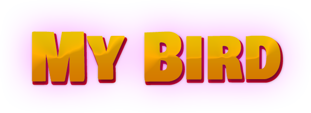 My Bird
