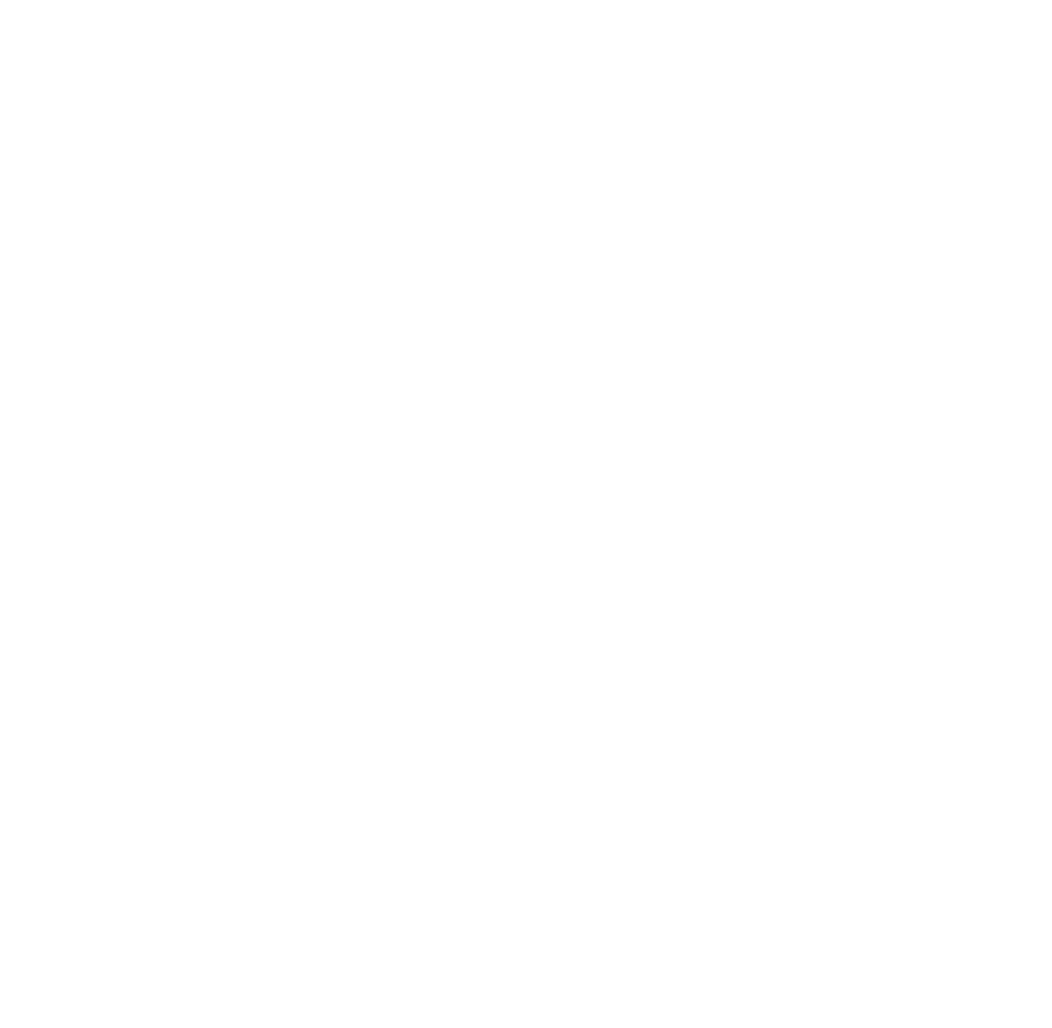Wizard with a Gun logo