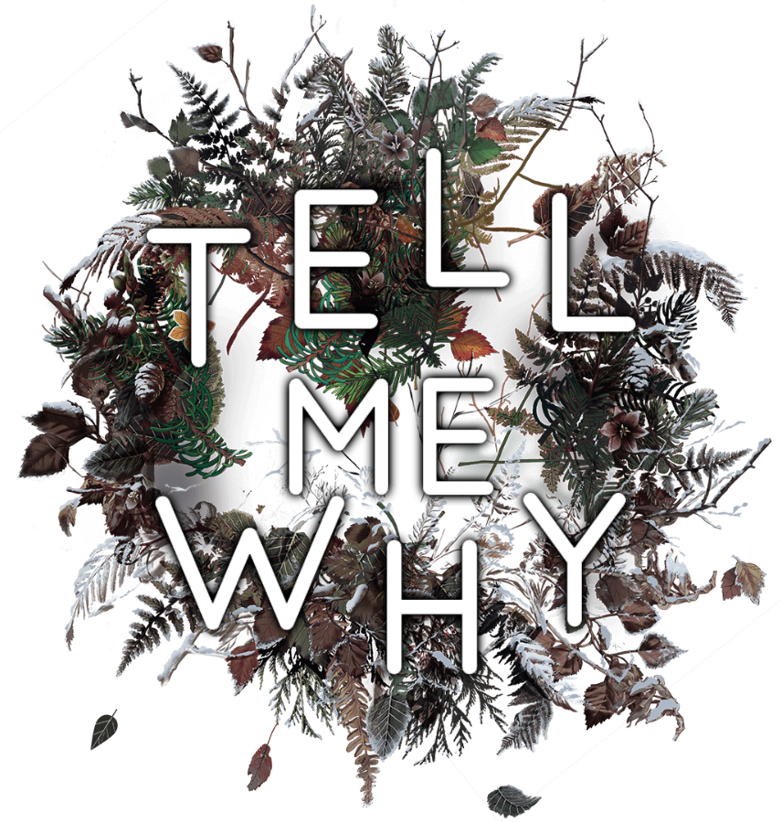 Tell Me Why on Steam