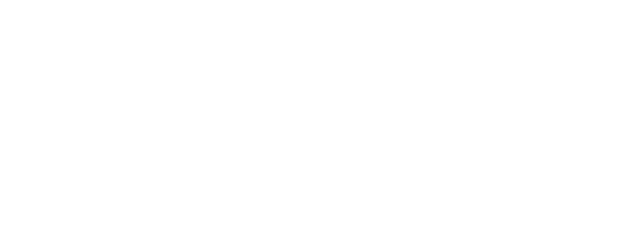 Super Hydorah: Collector's Edition