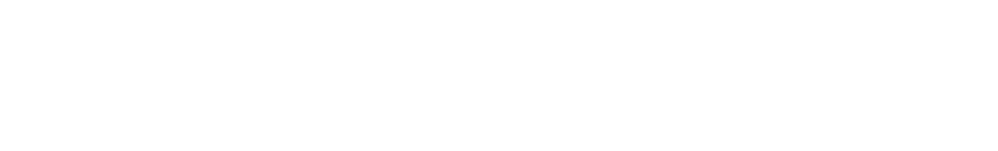 Company of Heroes 2 logo