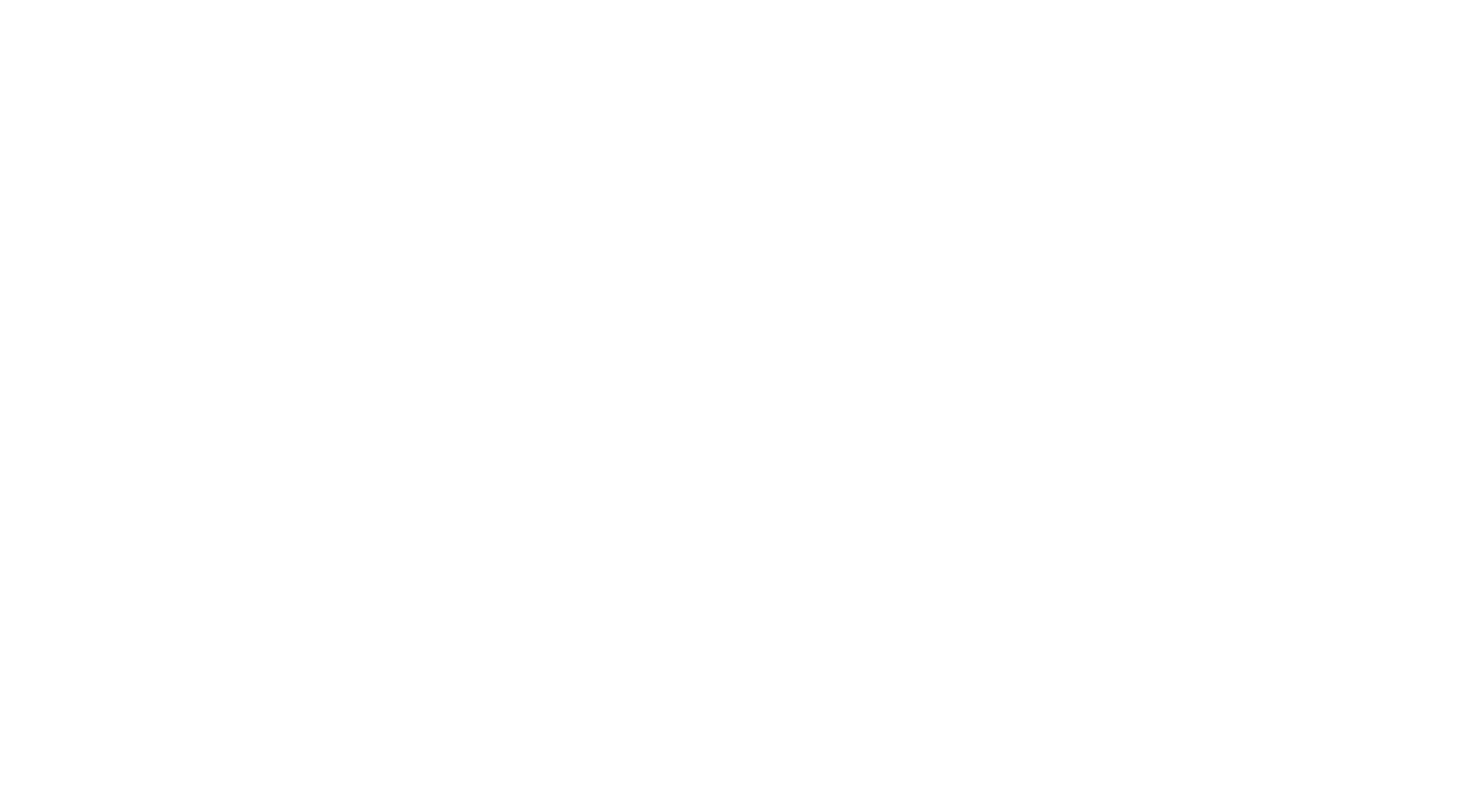 River City Girls logo