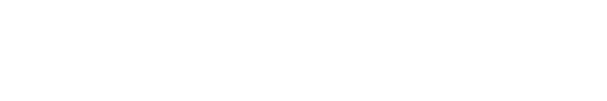 Colin McRae: DiRT 2 logo