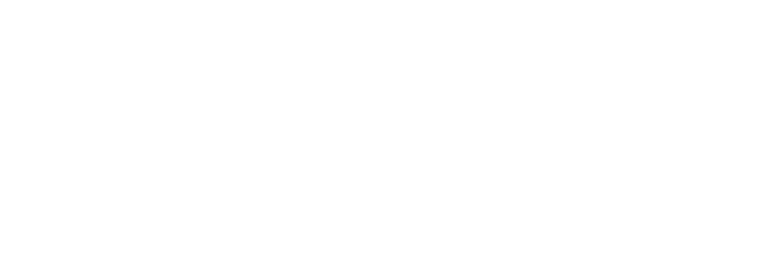 Wolfenstein: Cyberpilot