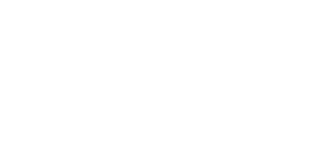 Divinity: Original Sin II logo