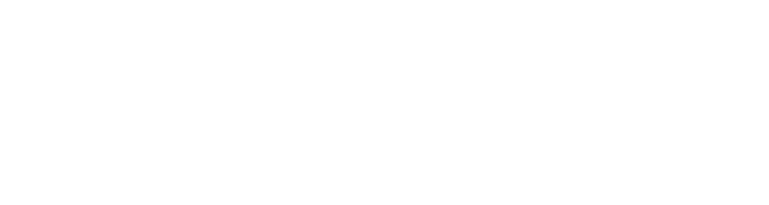 Blazing Beaks logo