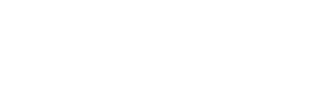 Red Dead Redemption 2 logo